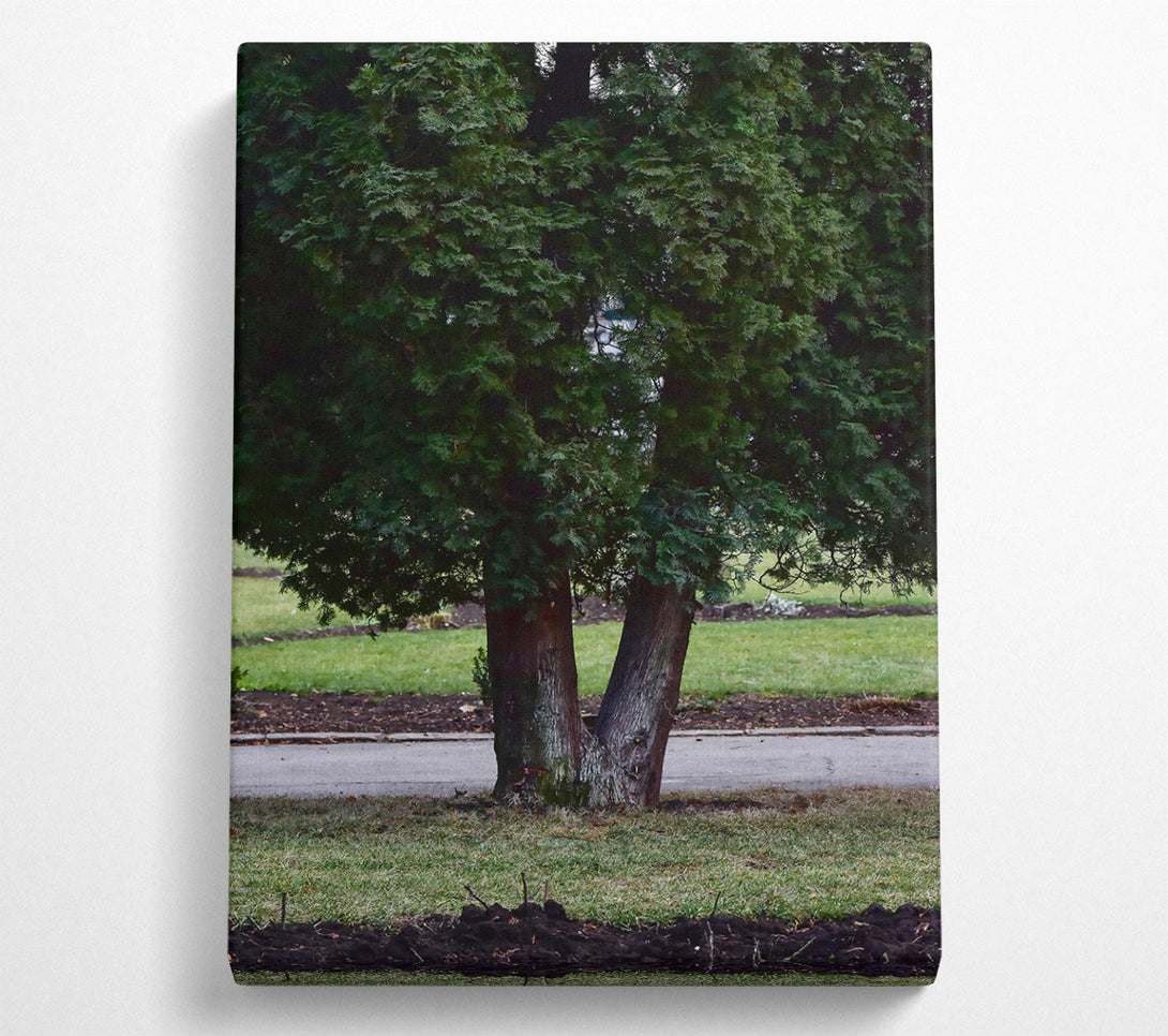  A Canvas Print of Green V Tree Trunk Canvas Art
