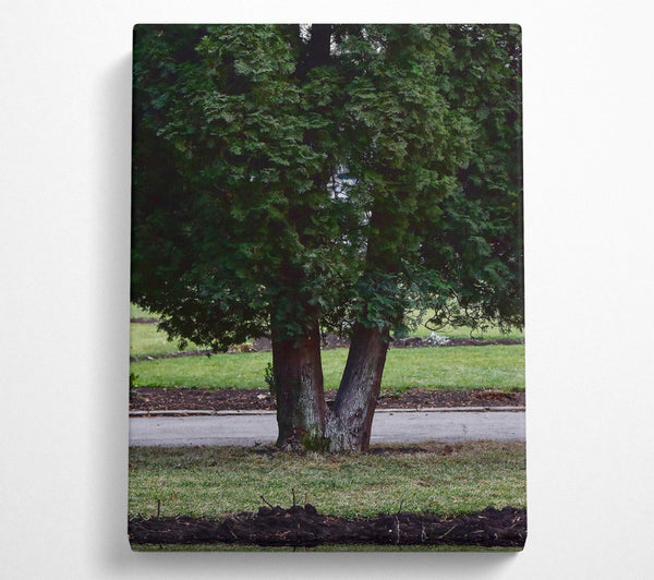  A Canvas Print of Green V Tree Trunk Canvas Art