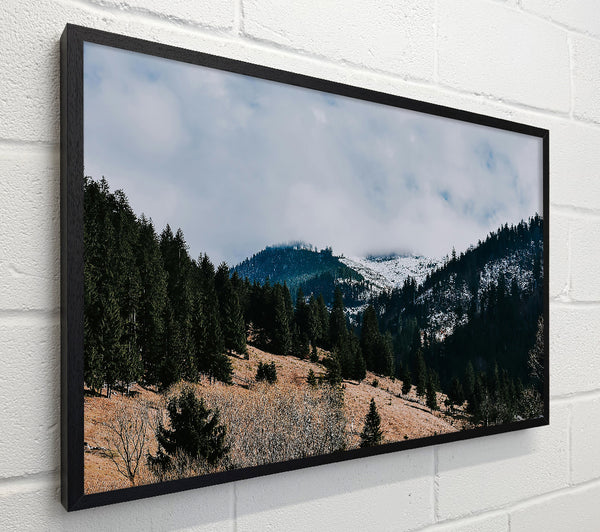 White-Capped Evergreen Hills