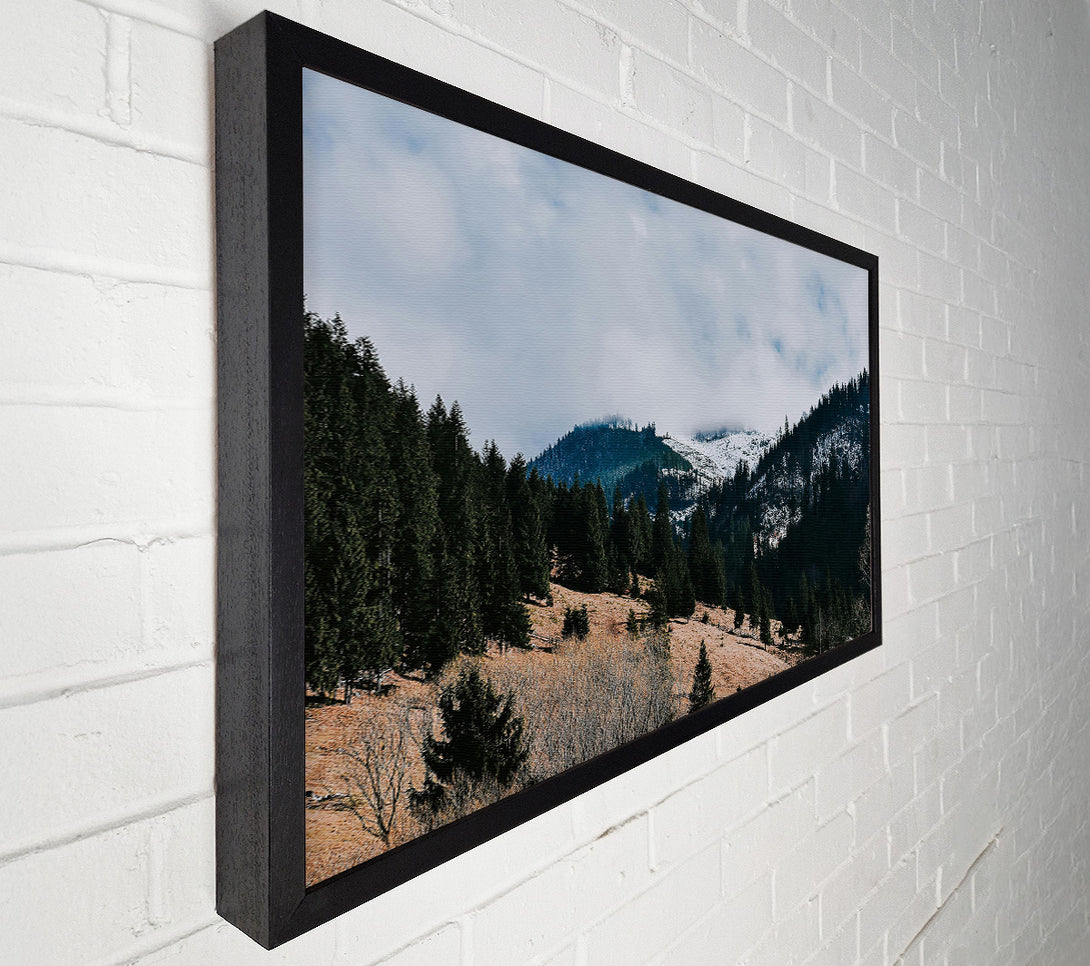 A Canvas Print of White-Capped Evergreen Hills Canvas Art