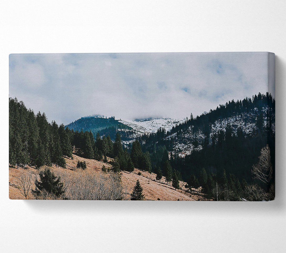  A Canvas Print of White-Capped Evergreen Hills Canvas Art