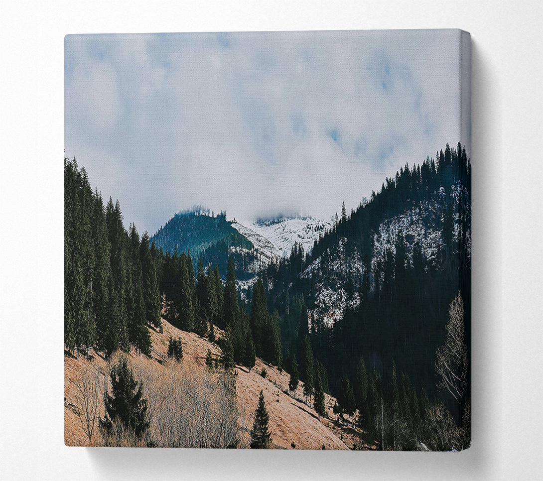  A Canvas Print of White-Capped Evergreen Hills Canvas Art