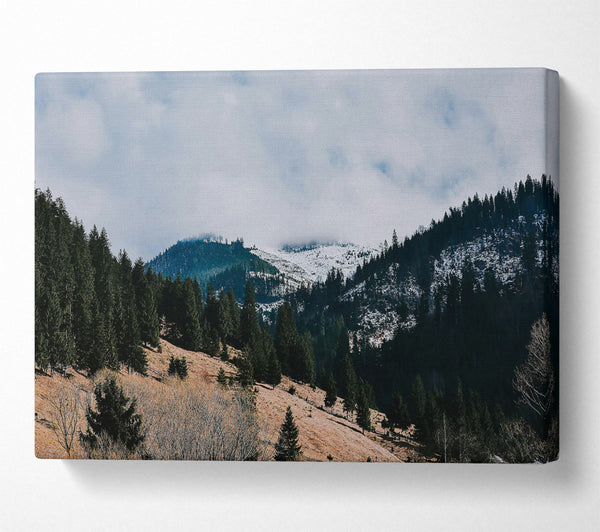  A Canvas Print of White-Capped Evergreen Hills Canvas Art