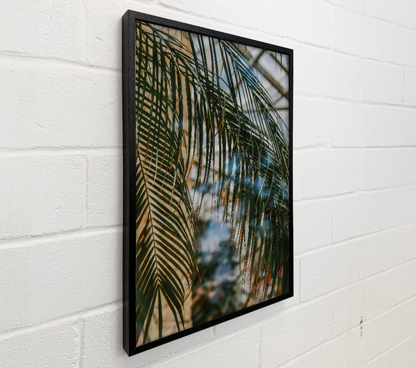 Green Palm Reflection