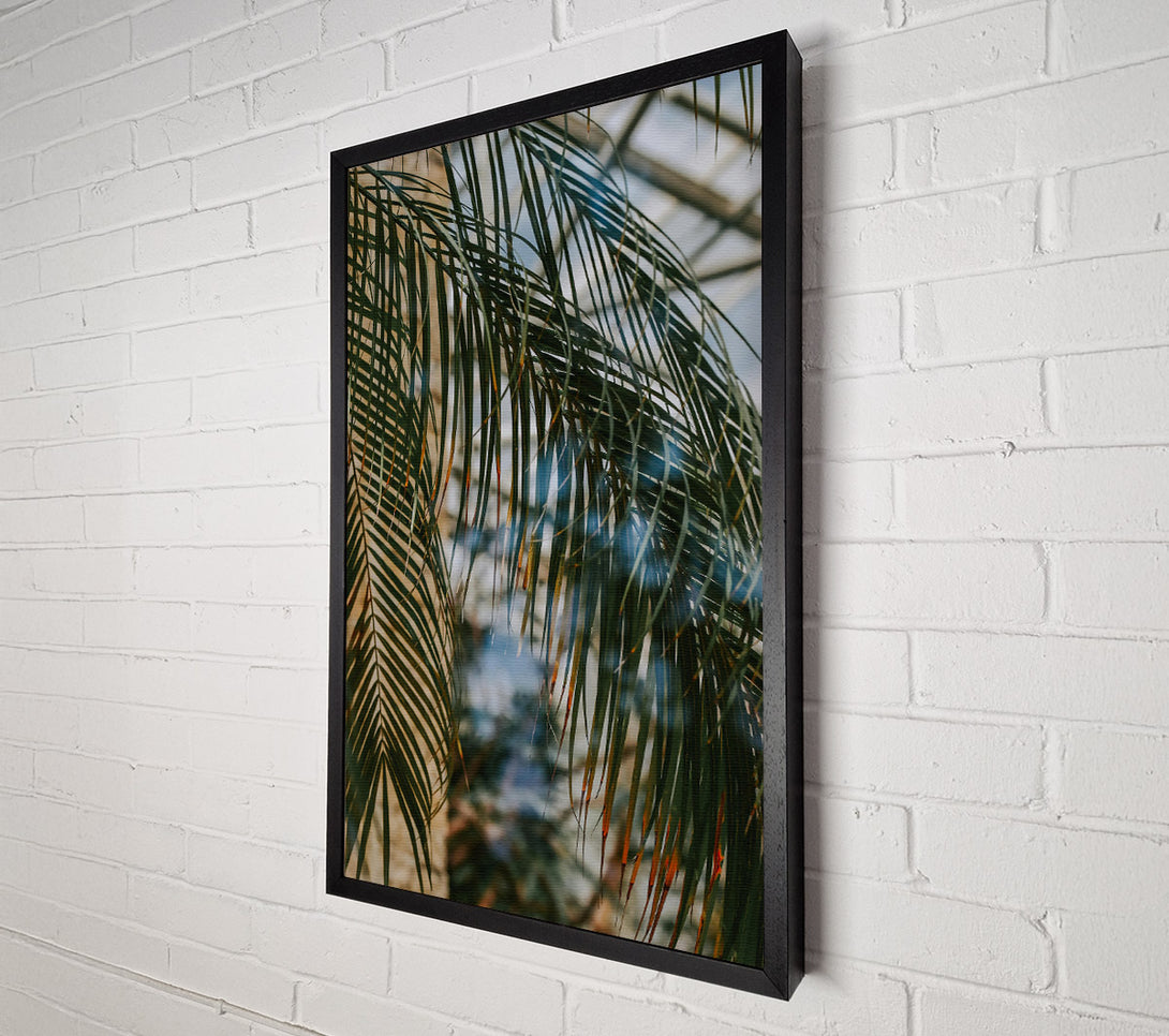  A Canvas Print of Green Palm Reflection Canvas Art