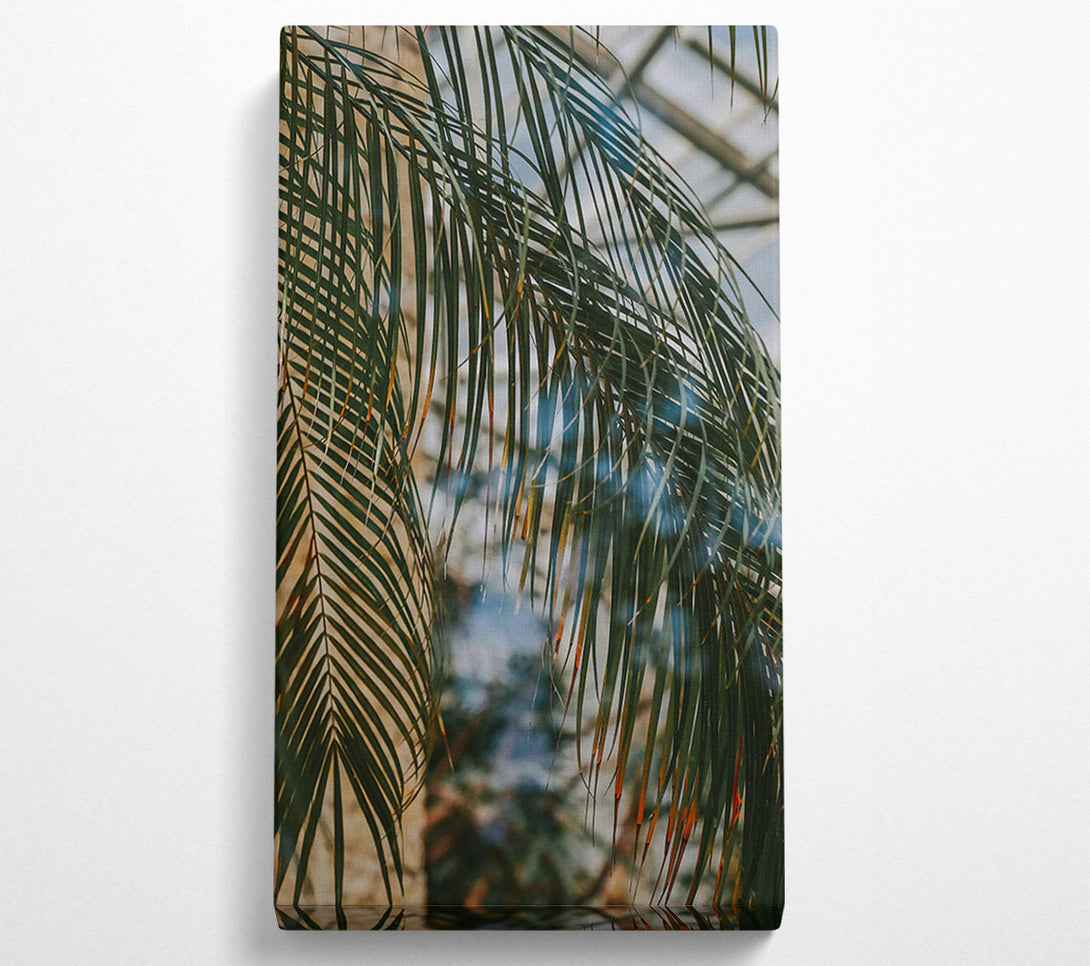  A Canvas Print of Green Palm Reflection Canvas Art