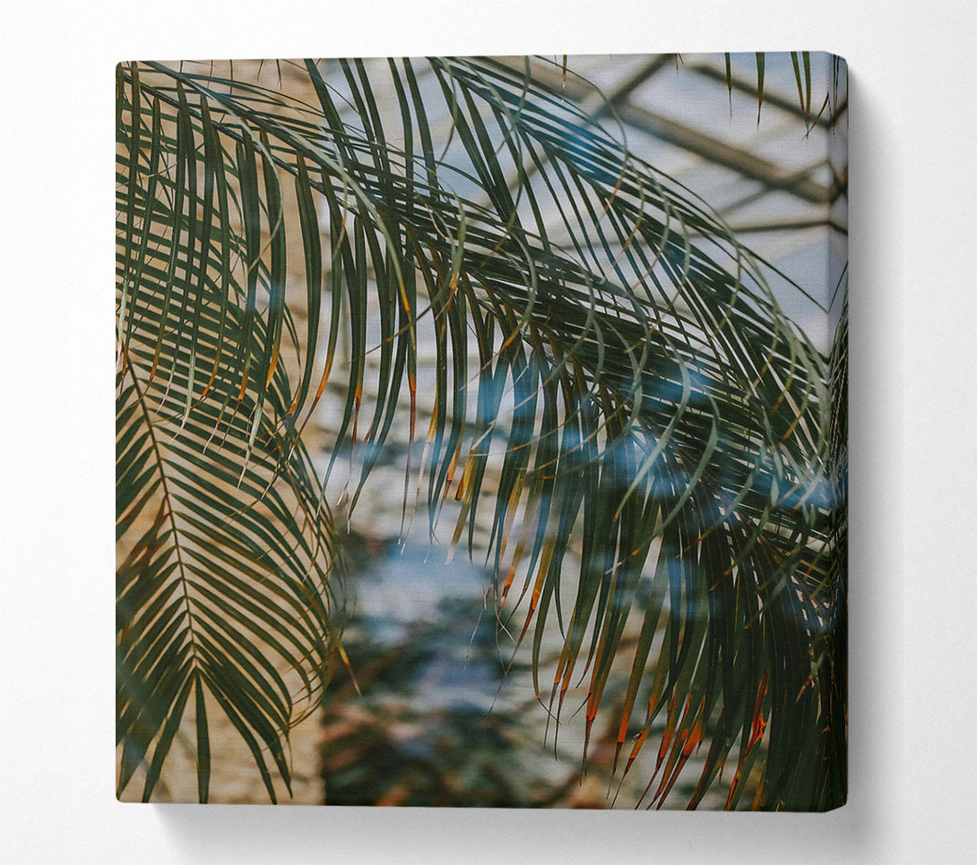  A Canvas Print of Green Palm Reflection Canvas Art