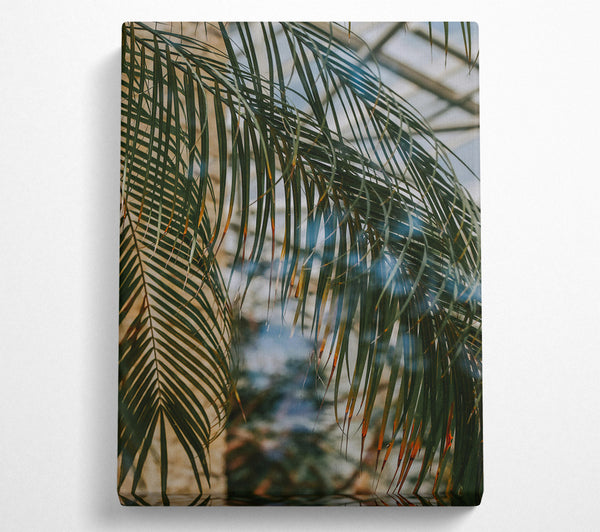  A Canvas Print of Green Palm Reflection Canvas Art