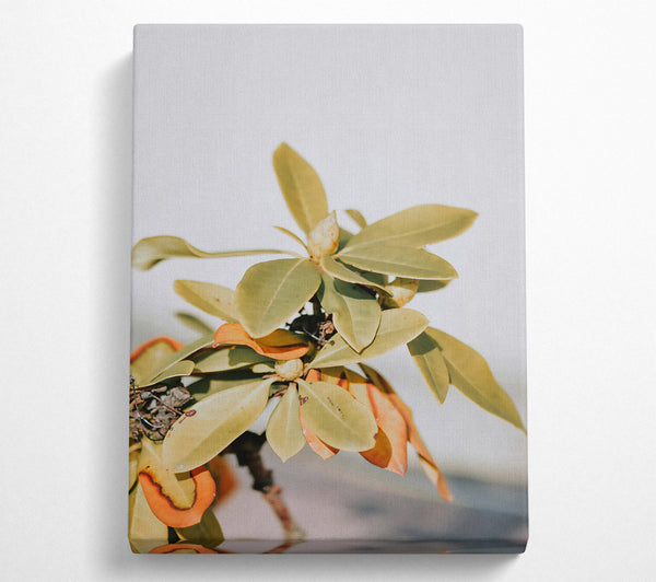  A Canvas Print of Golden Green Embrace Canvas Wall Art