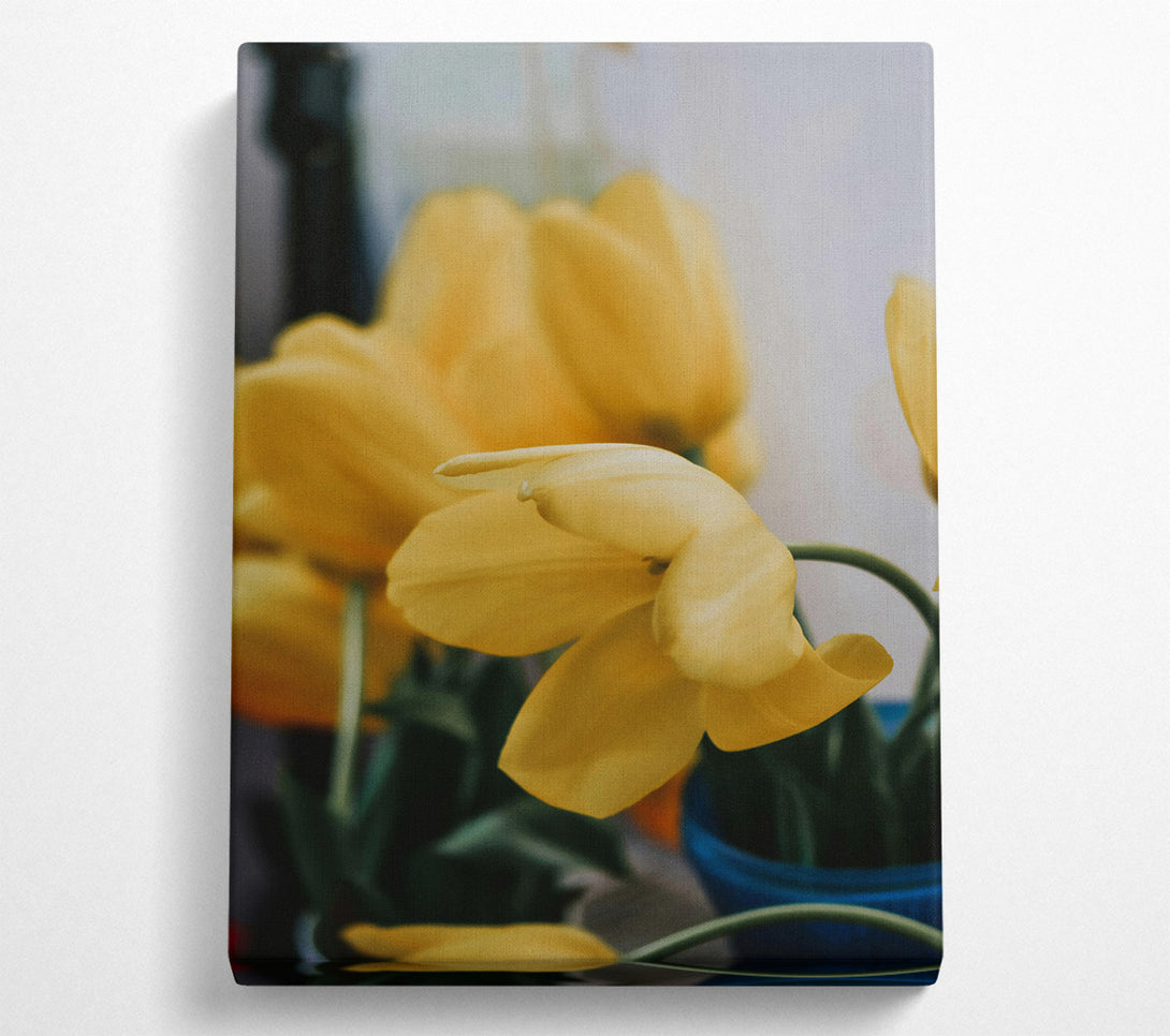  A Canvas Print of Golden Tulip Bloom Canvas Wall Art