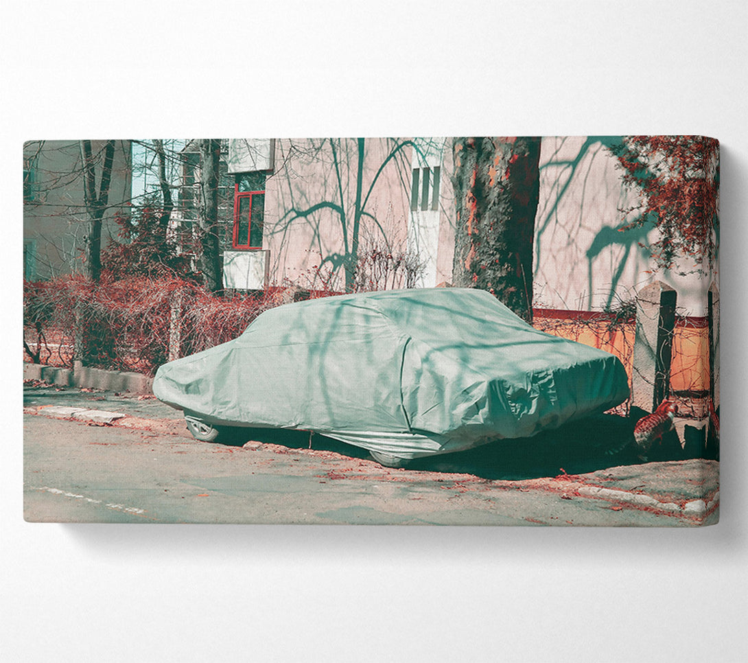  A Canvas Print of Pale Green Cover Canvas Wall Art