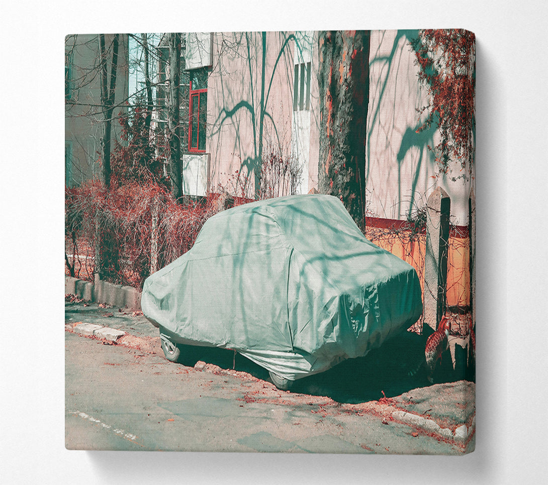  A Canvas Print of Pale Green Cover Canvas Wall Art