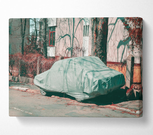  A Canvas Print of Pale Green Cover Canvas Wall Art