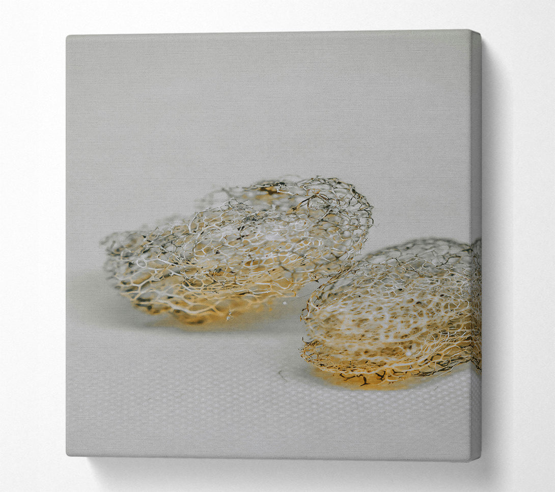  A Canvas Print of Golden Lace Skeletons Canvas Wall Art