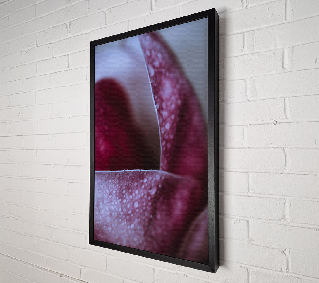  A Canvas Print of Crimson Dewdrop Embrace Canvas Art