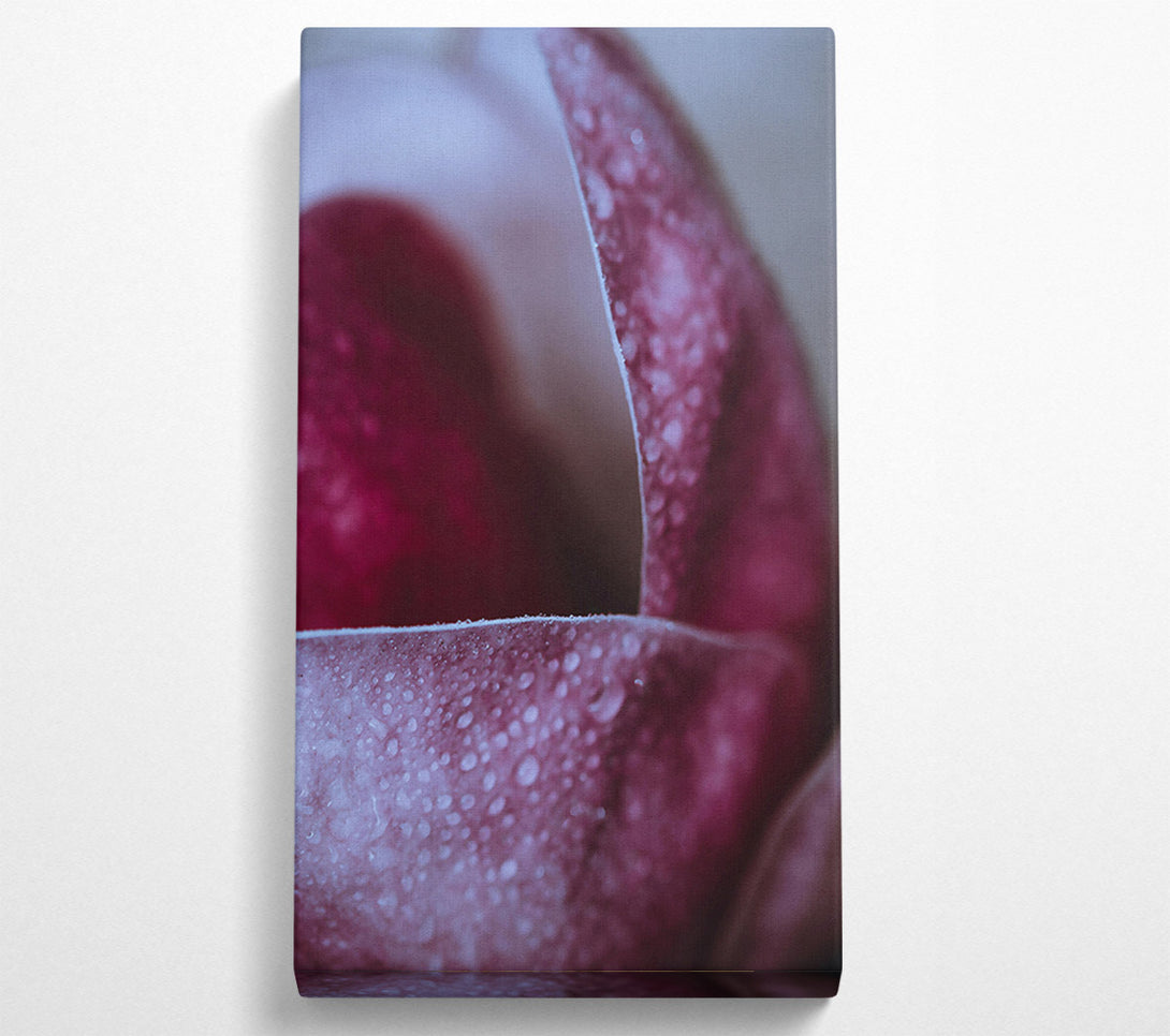  A Canvas Print of Crimson Dewdrop Embrace Canvas Art