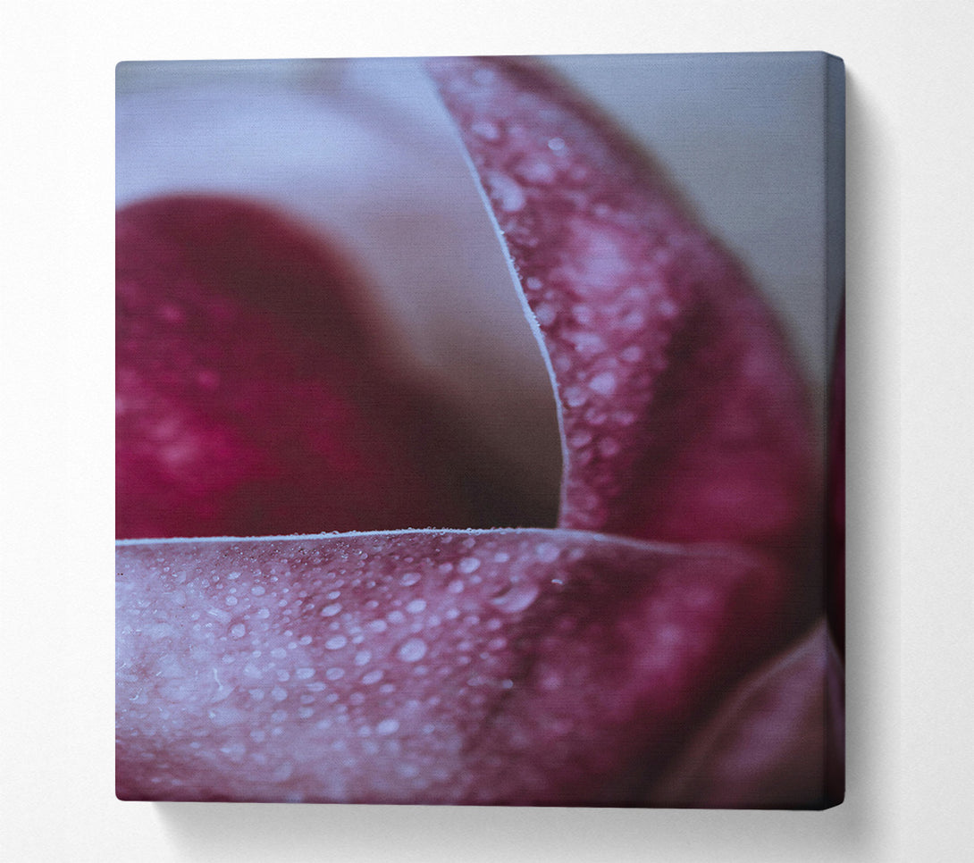  A Canvas Print of Crimson Dewdrop Embrace Canvas Art