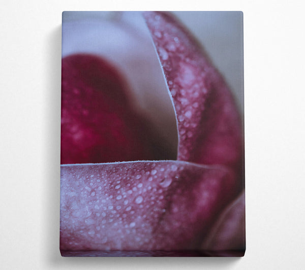  A Canvas Print of Crimson Dewdrop Embrace Canvas Art