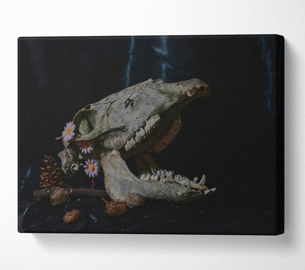 A Canvas Print of White Skull And Flowers Canvas Print