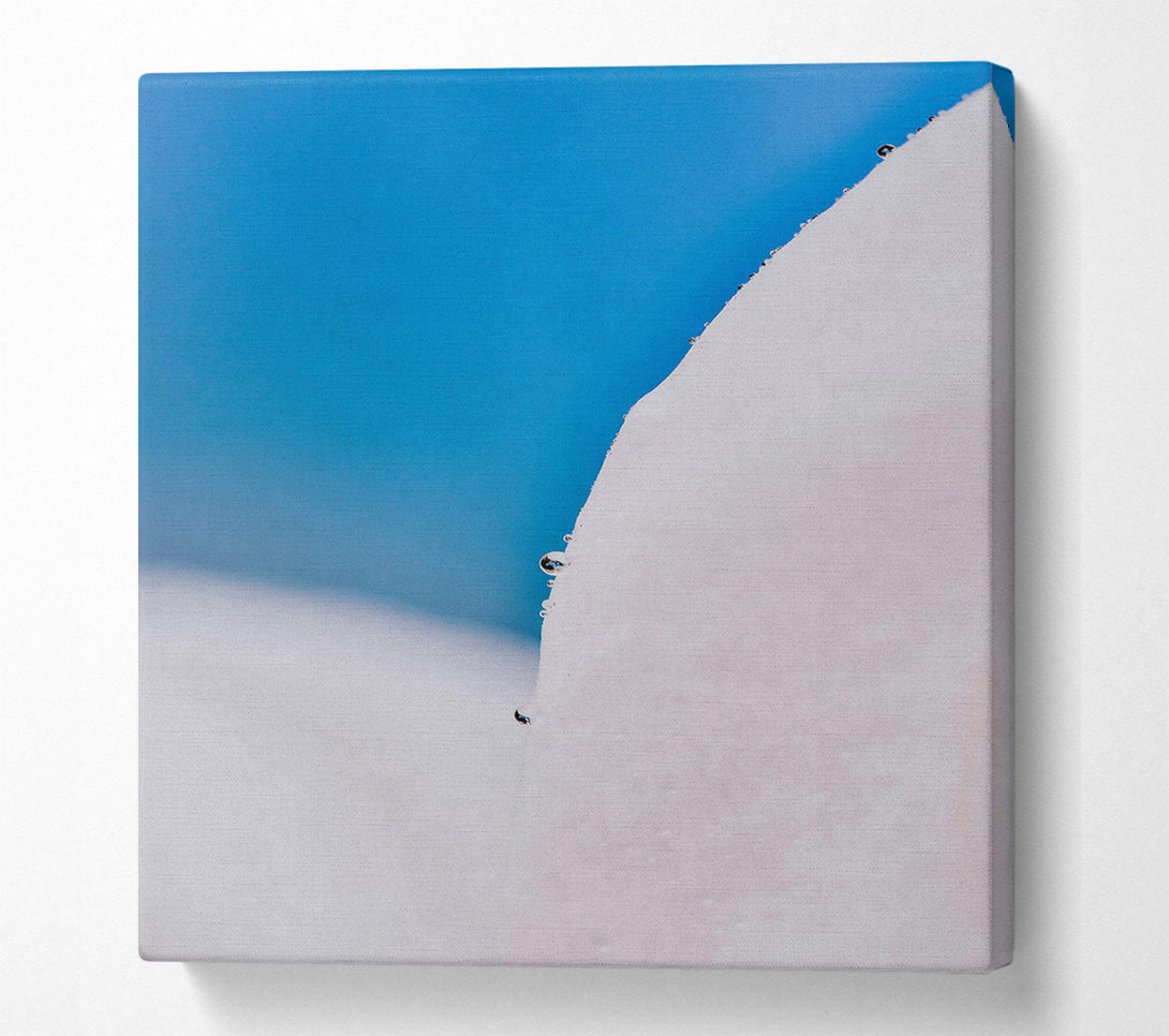  A Canvas Print of Blue And White Dewdrop Canvas Wall Art