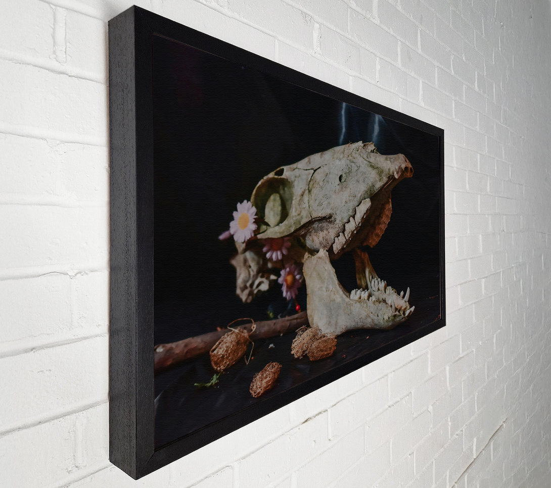  A Canvas Print of Pale Bone & Bloom Canvas Print