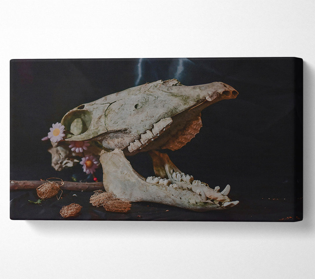  A Canvas Print of Pale Bone & Bloom Canvas Print