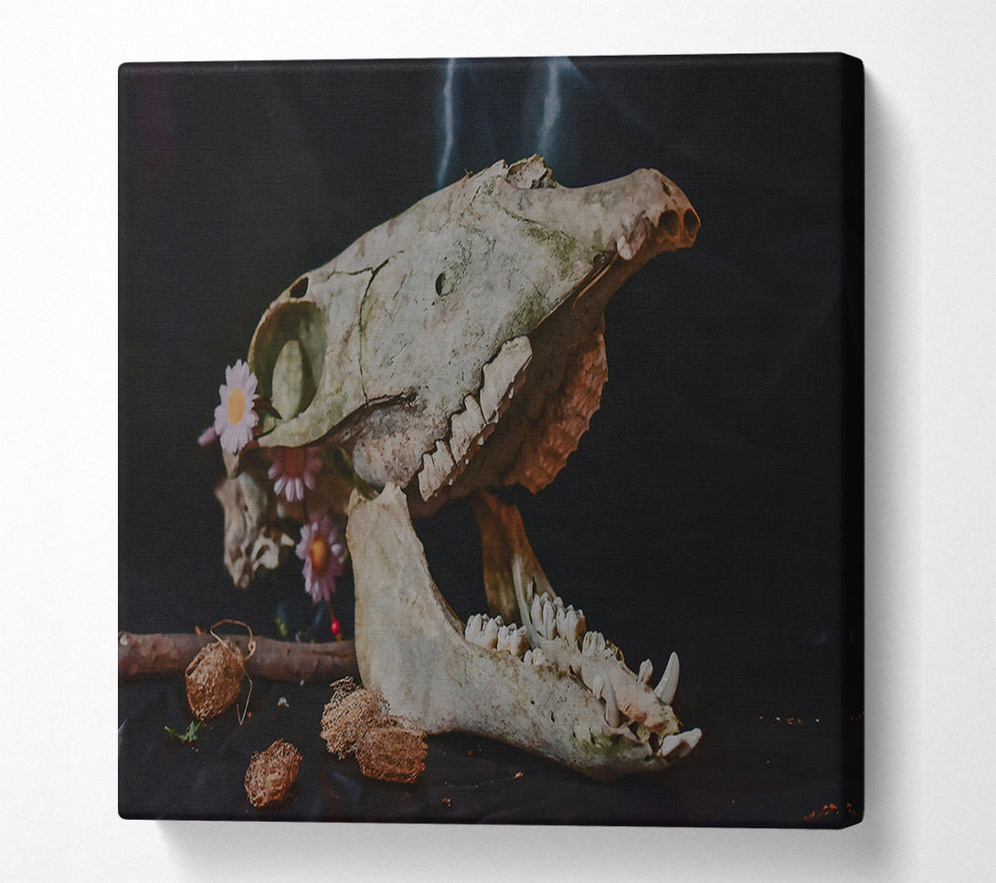  A Canvas Print of Pale Bone & Bloom Canvas Print