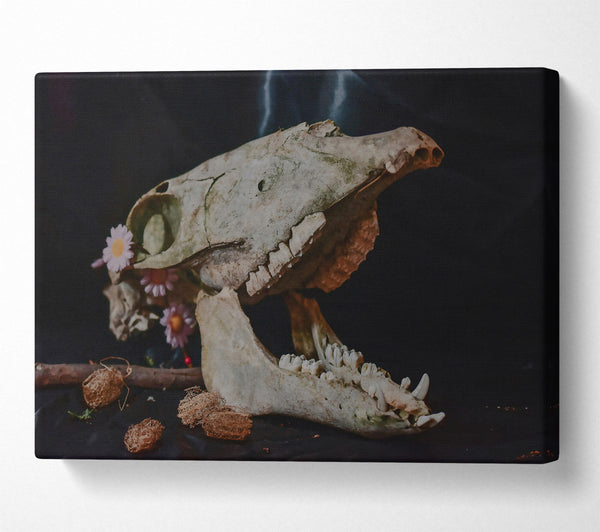  A Canvas Print of Pale Bone & Bloom Canvas Print