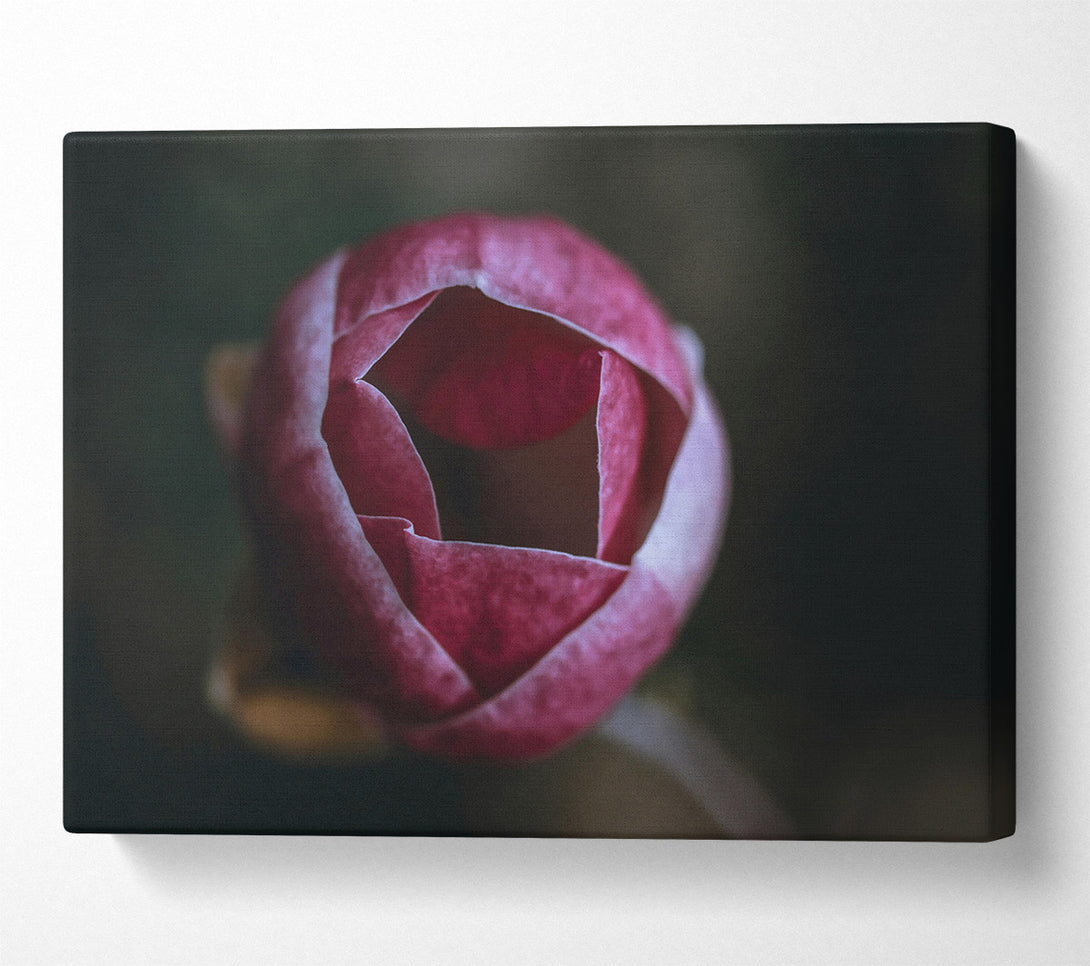  A Canvas Print of Crimson Bloom'S Embrace Canvas Wall Art