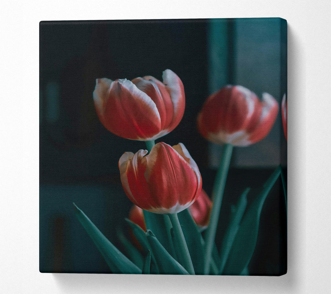  A Canvas Print of Crimson Tulip Trio Canvas Print