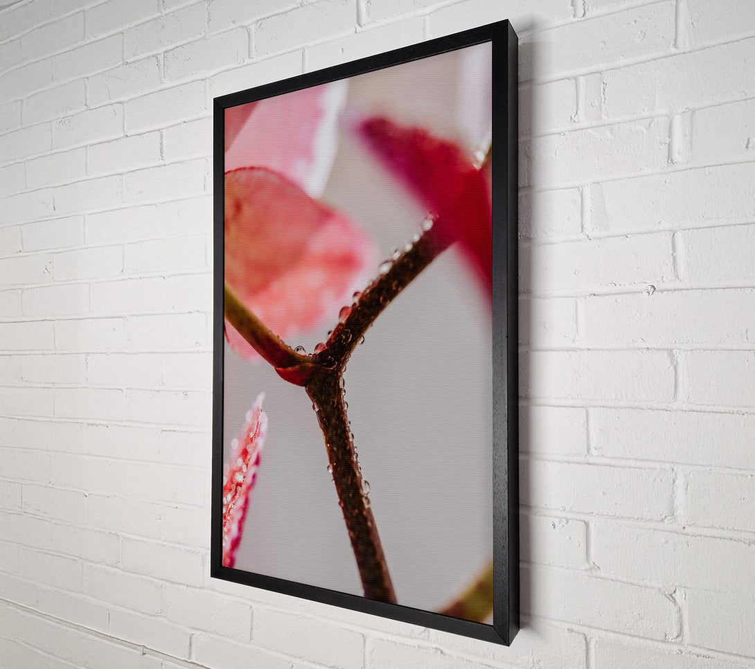  A Canvas Print of Pink Dewy Branch Canvas Art