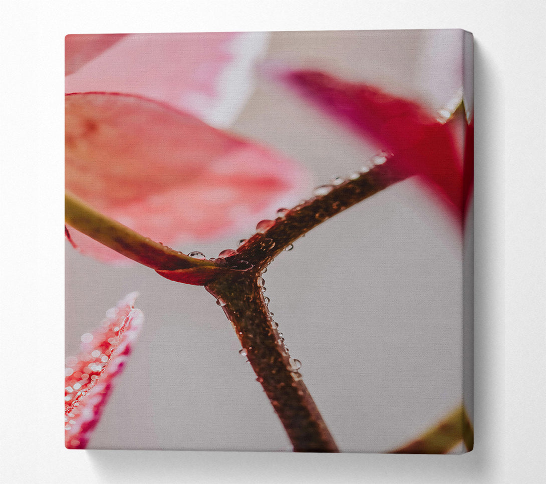  A Canvas Print of Pink Dewy Branch Canvas Art