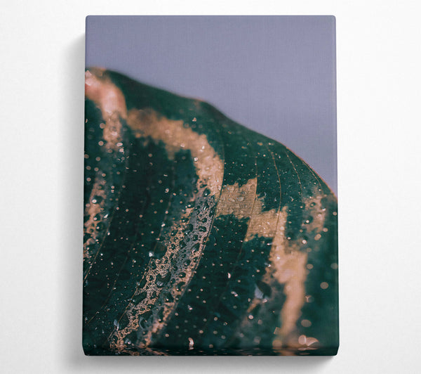  A Canvas Print of Emerald Leaf Dewdrops Canvas Print