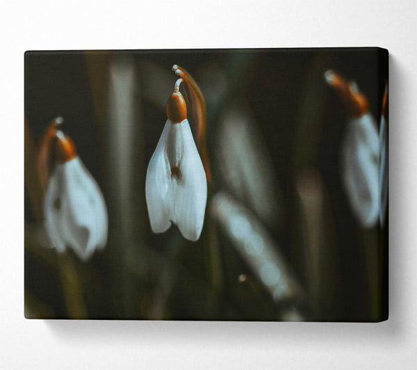  A Canvas Print of Green Bell'S Bloom Canvas Wall Art