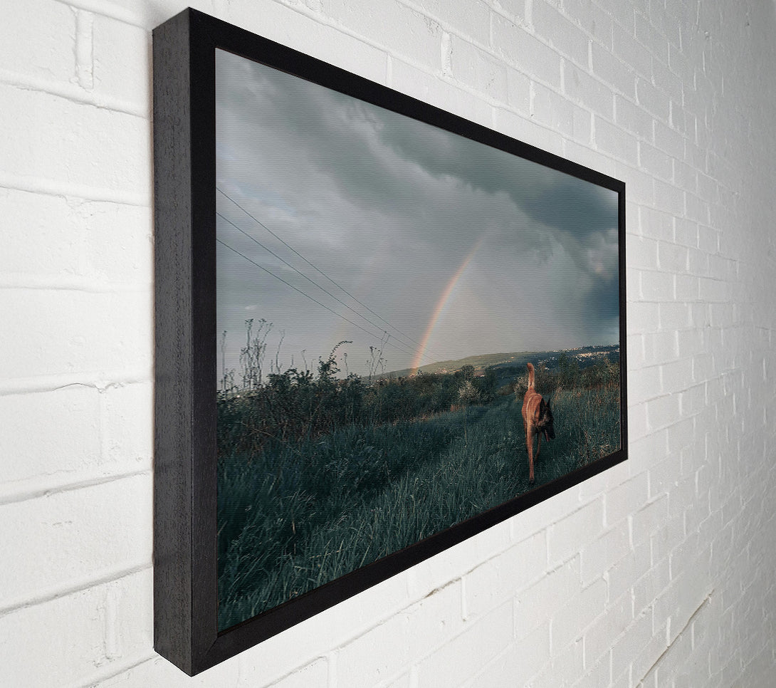  A Canvas Print of Green Dog Rainbow Walk Canvas Print
