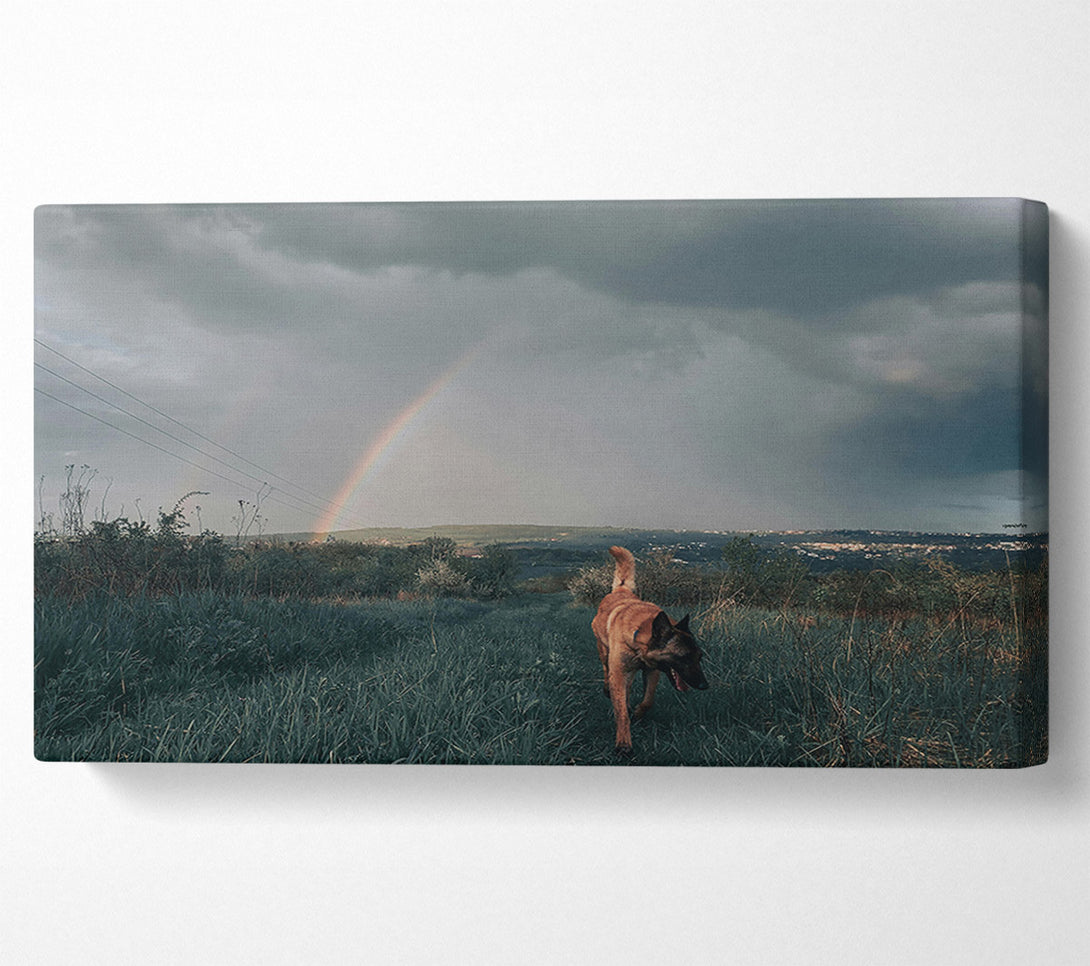  A Canvas Print of Green Dog Rainbow Walk Canvas Print