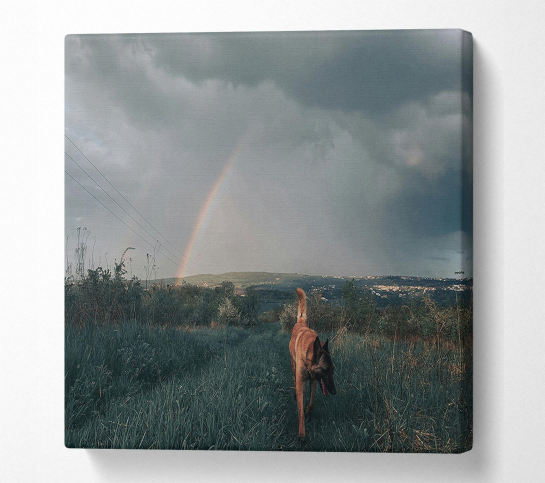  A Canvas Print of Green Dog Rainbow Walk Canvas Print