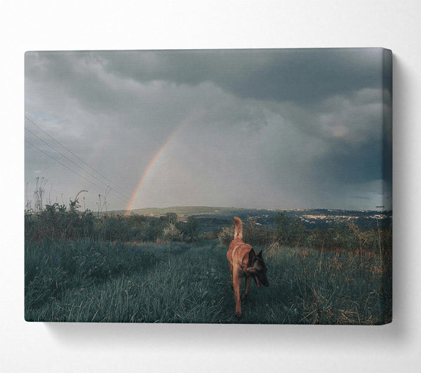  A Canvas Print of Green Dog Rainbow Walk Canvas Print