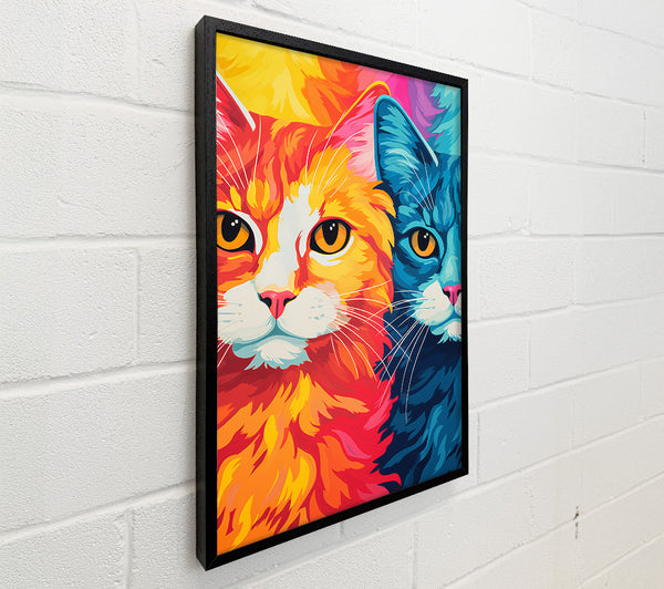 Orange And Blue Cat