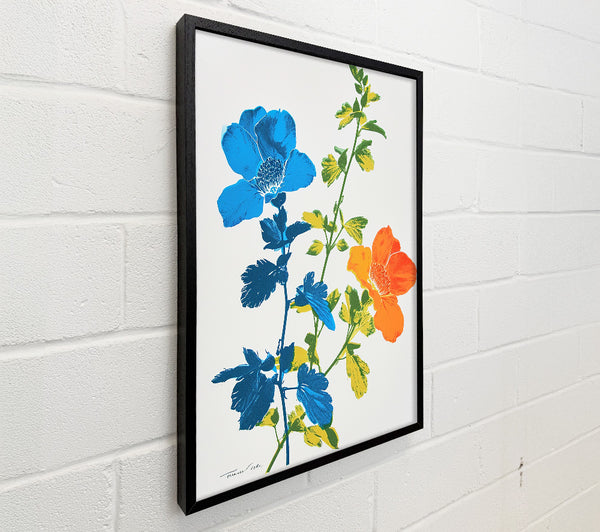Orange And Blue Flowers