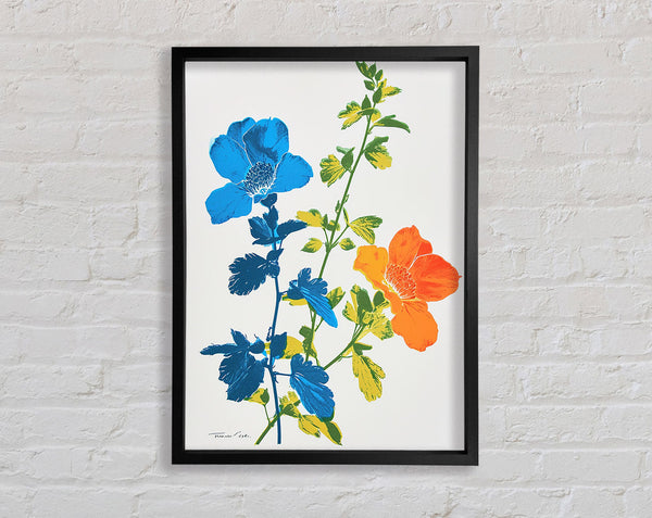 Orange And Blue Flowers Framed Print