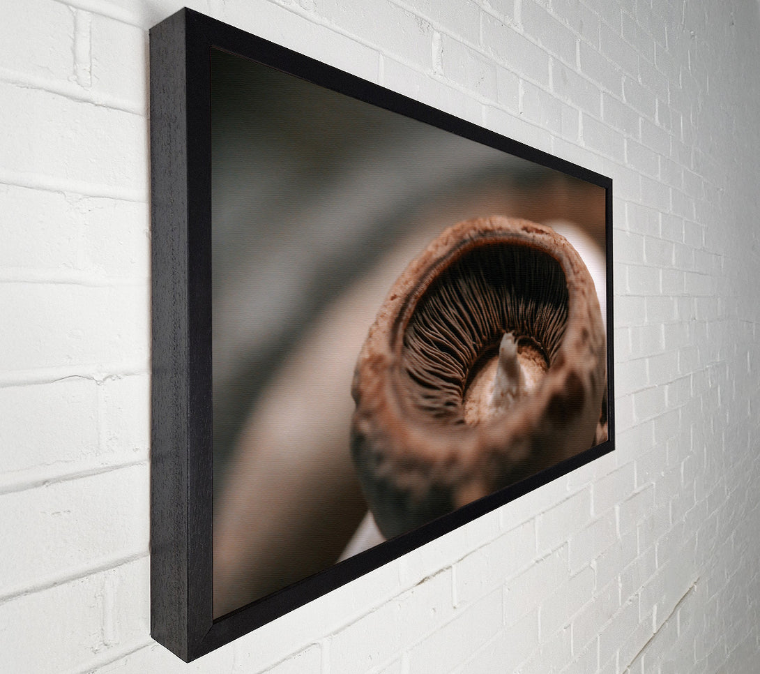  A Canvas Print of Brown Mushroom Gills Canvas Wall Art