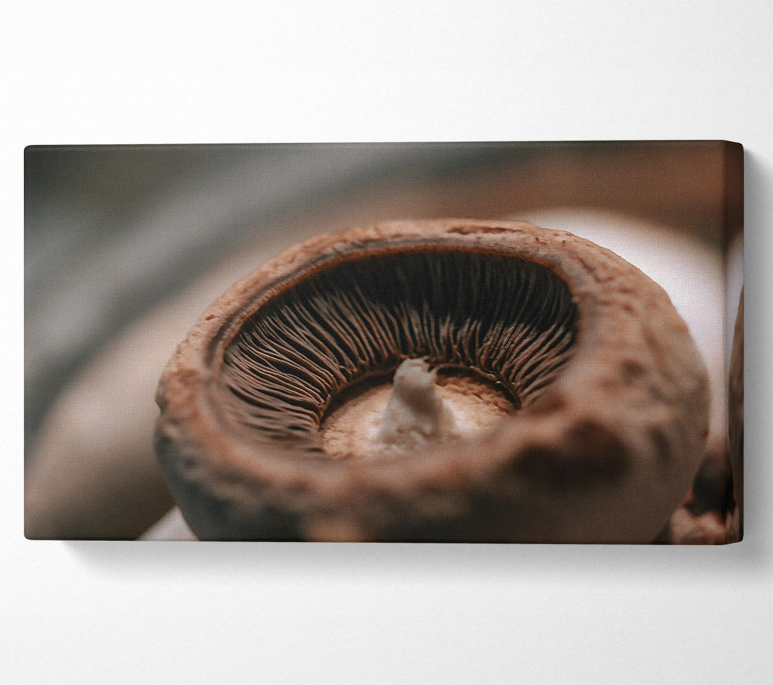  A Canvas Print of Brown Mushroom Gills Canvas Wall Art