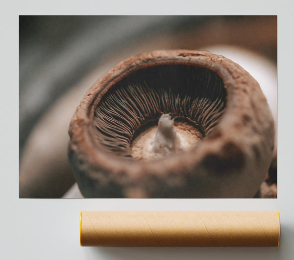 Brown Mushroom Gills Giclee Print