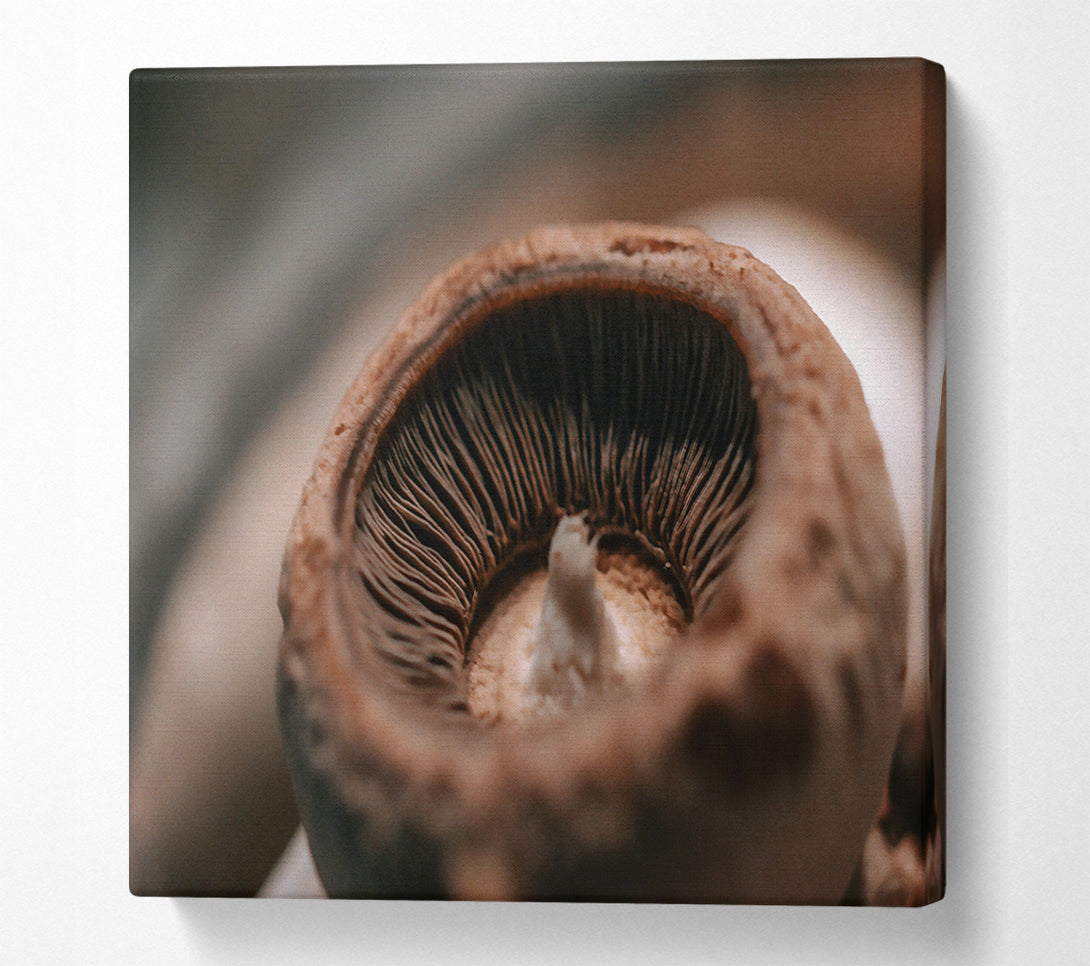  A Canvas Print of Brown Mushroom Gills Canvas Wall Art