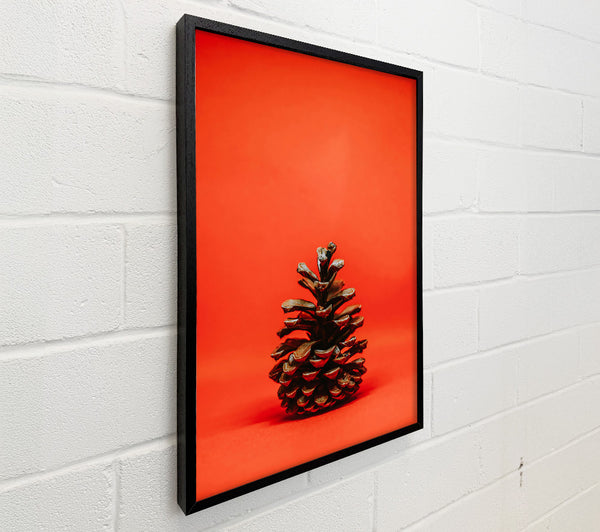 Red Background Pine Cone