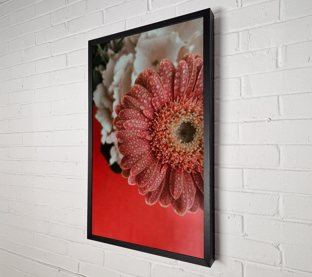  A Canvas Print of Pink Petal Dew Drops Canvas Art
