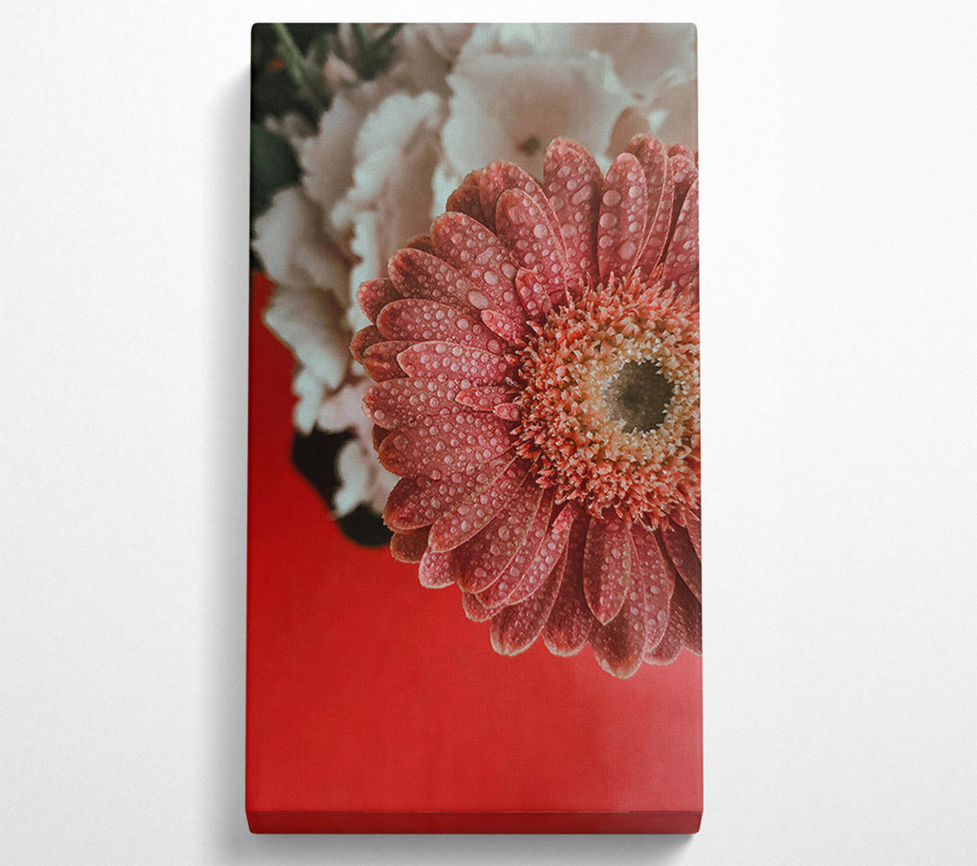  A Canvas Print of Pink Petal Dew Drops Canvas Art