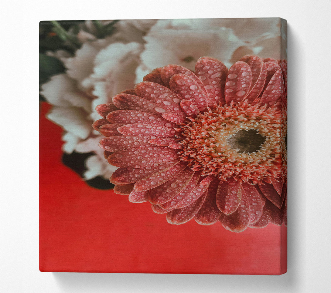  A Canvas Print of Pink Petal Dew Drops Canvas Art
