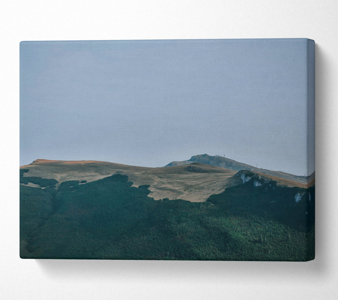  A Canvas Print of Green Mountain Solitude Canvas Art